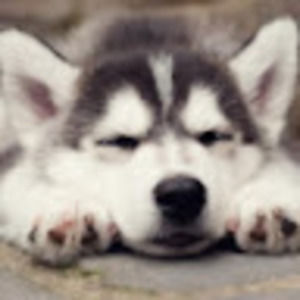 Meet your Posher, Ashwin